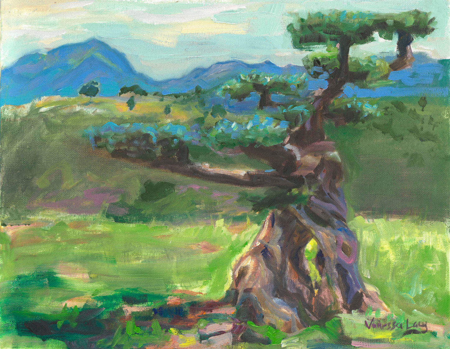 "Alzira Olive Tree" Original Spanish Countryside Painting by Vanessa Lacy