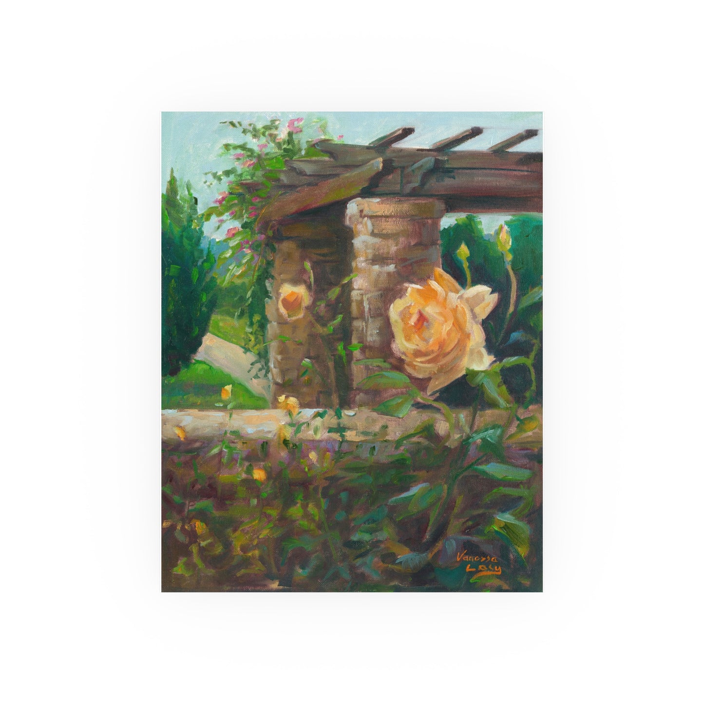 "Loose Park Roses" Print by Vanessa Lacy