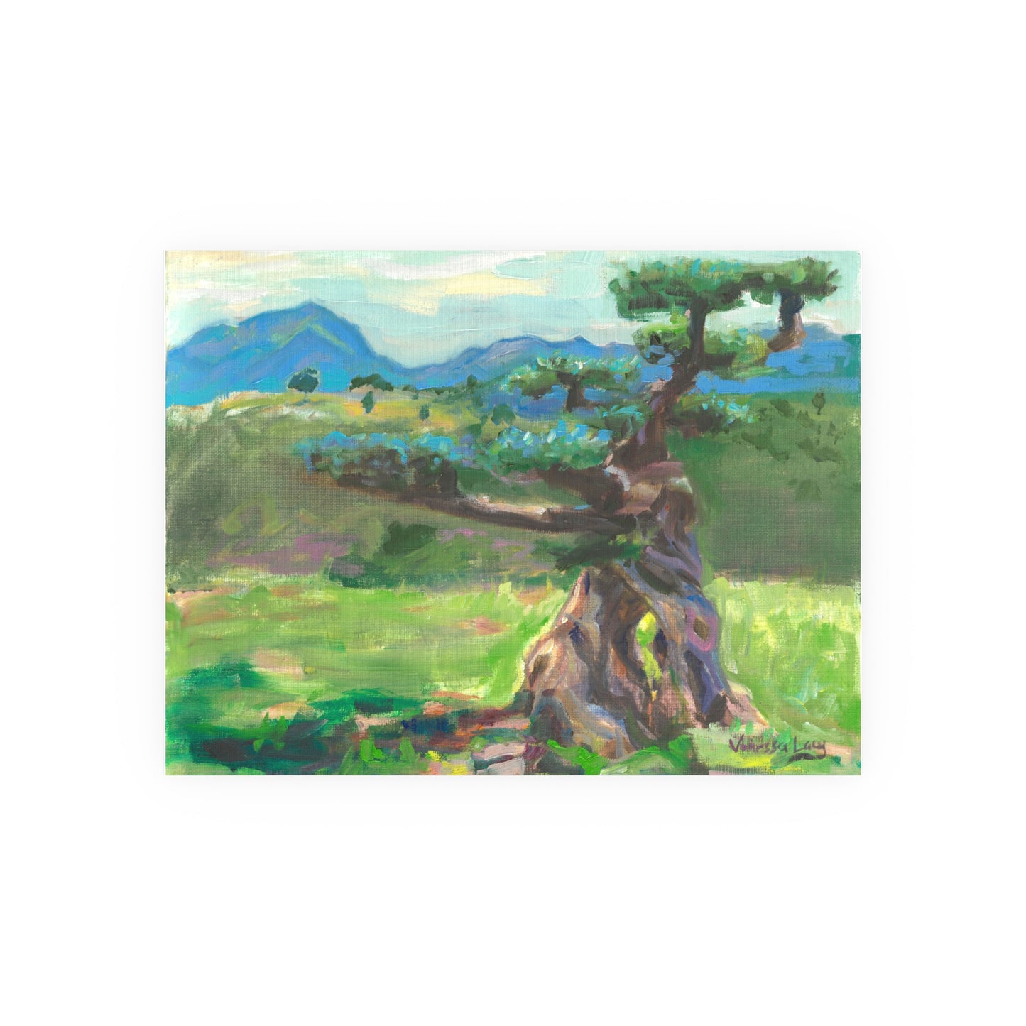 "Alzira Olive Tree" Art Print by Vanessa Lacy