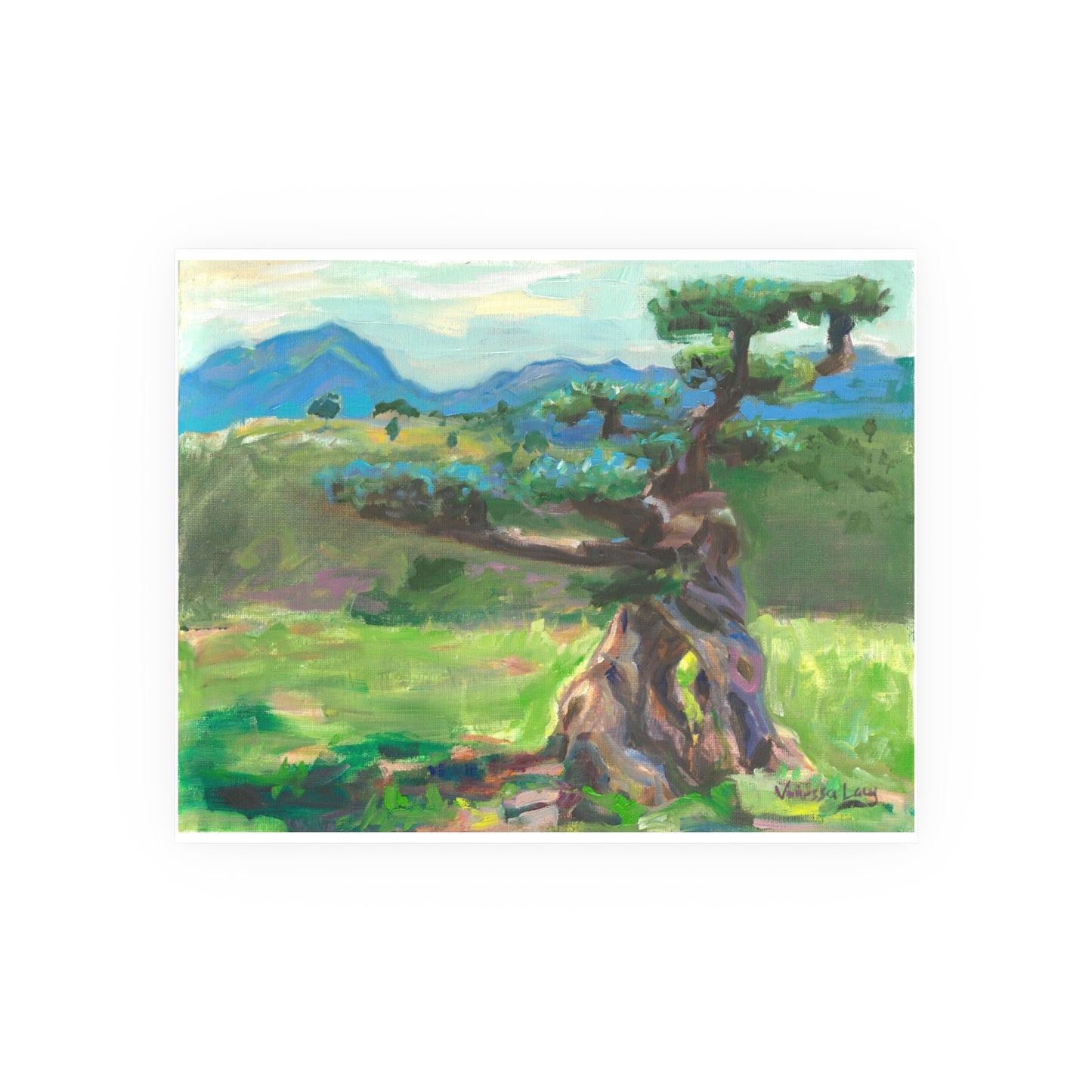 "Alzira Olive Tree" Art Print by Vanessa Lacy
